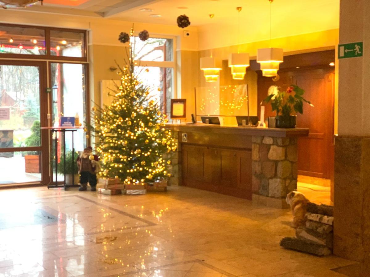 Hotel Albatros Serwy Ngoại thất bức ảnh